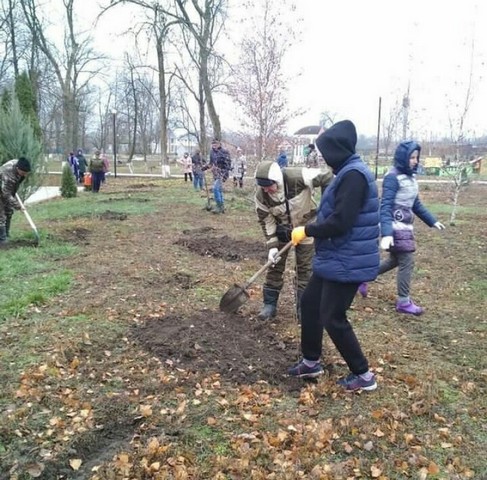 IMG 20201228 131340 900